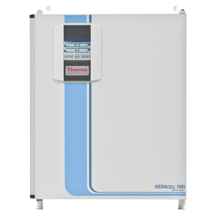 HERAcell CO₂インキュベーター 150i（151L・ステンレスチャンバー）