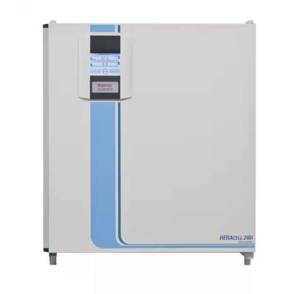 HERAcell CO₂インキュベーター 240i（238L・ステンレスチャンバー）