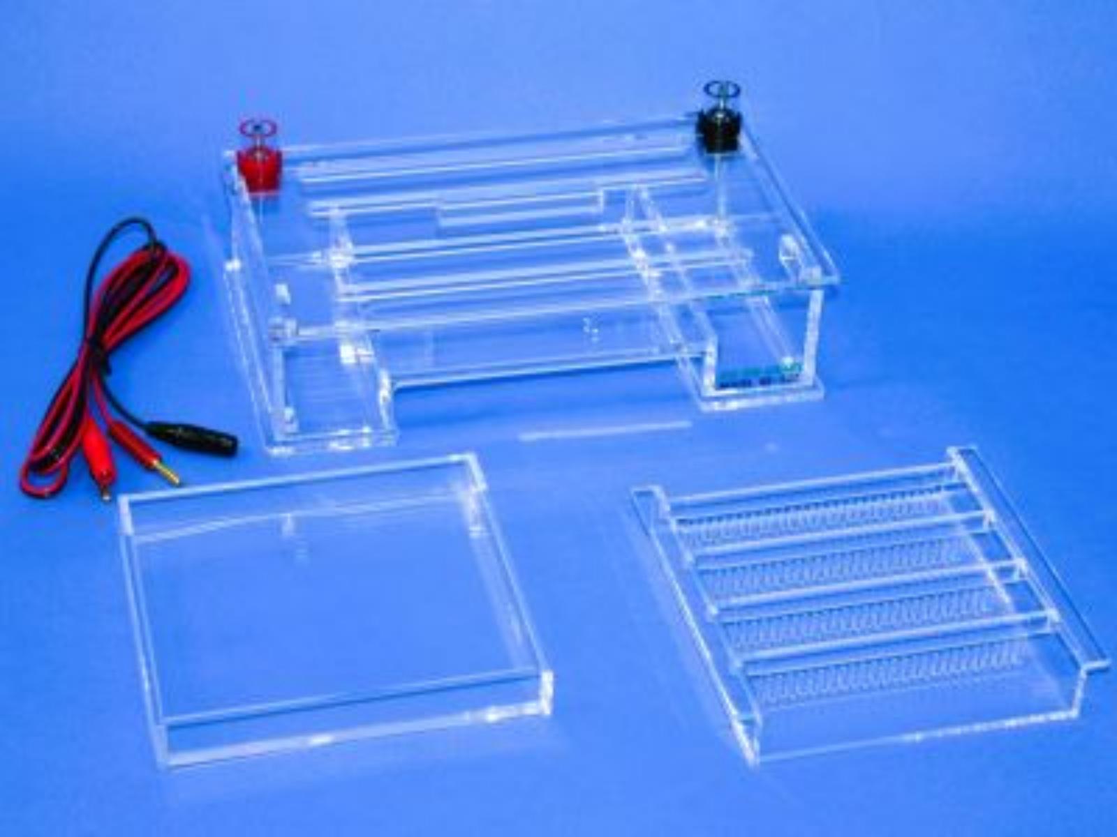 サブマリン電気泳動装置
