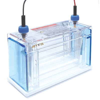 マルチレーンゲル電気泳動槽