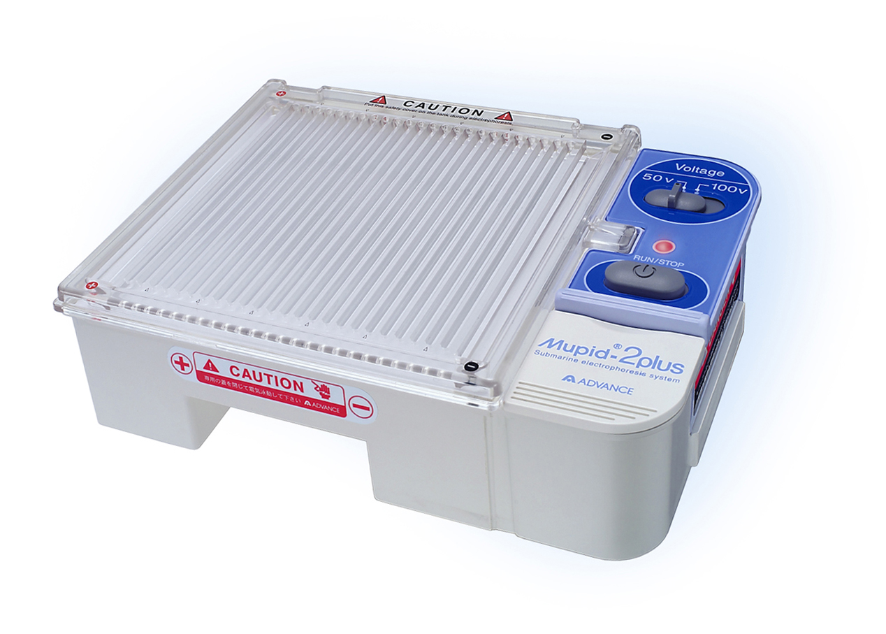Mupid-2plus